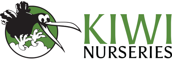 Kiwi Nurseries