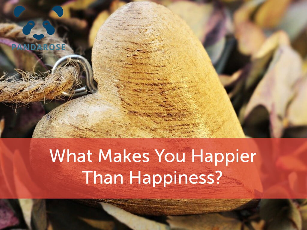 What makes you happier than happiness?