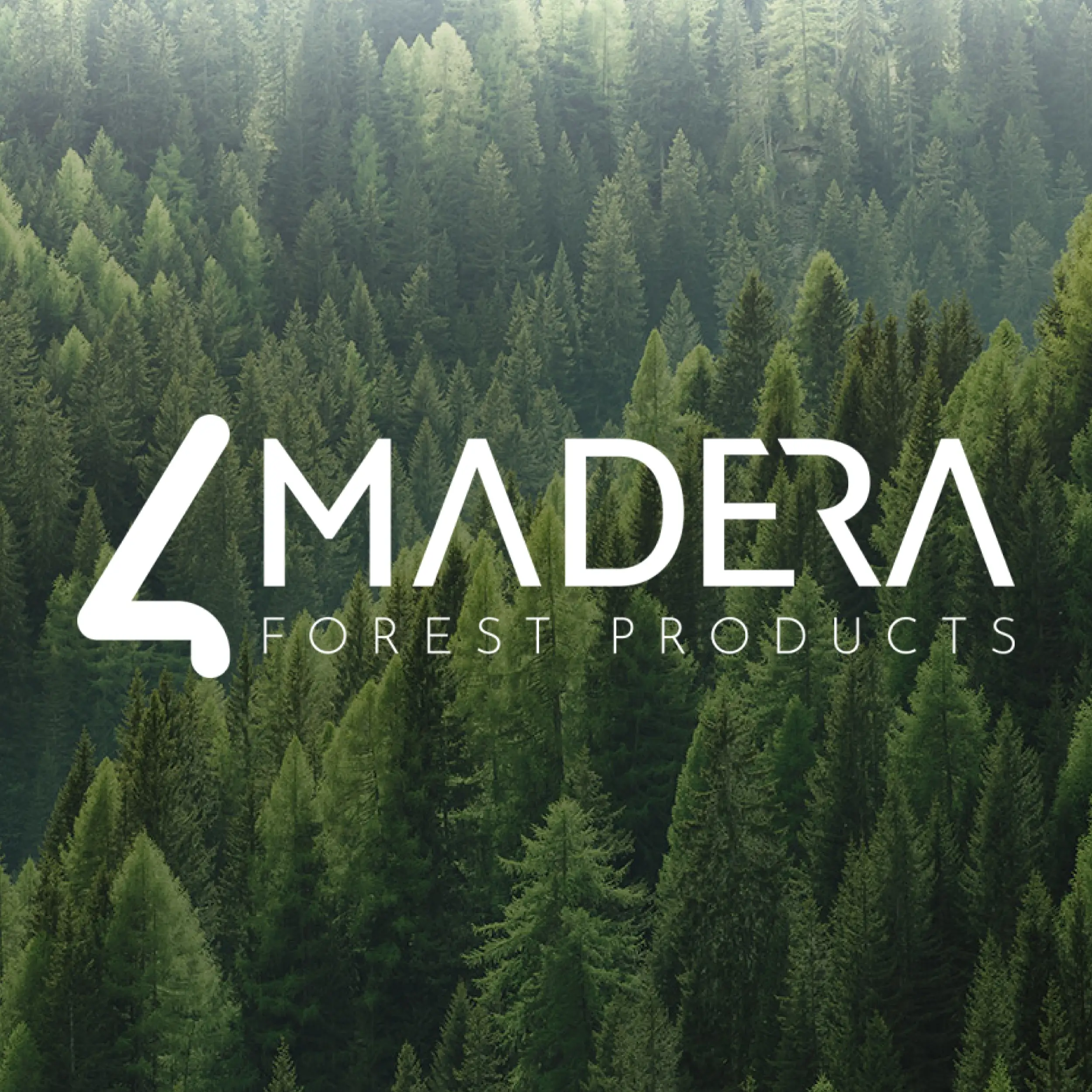 Madera Forest Products