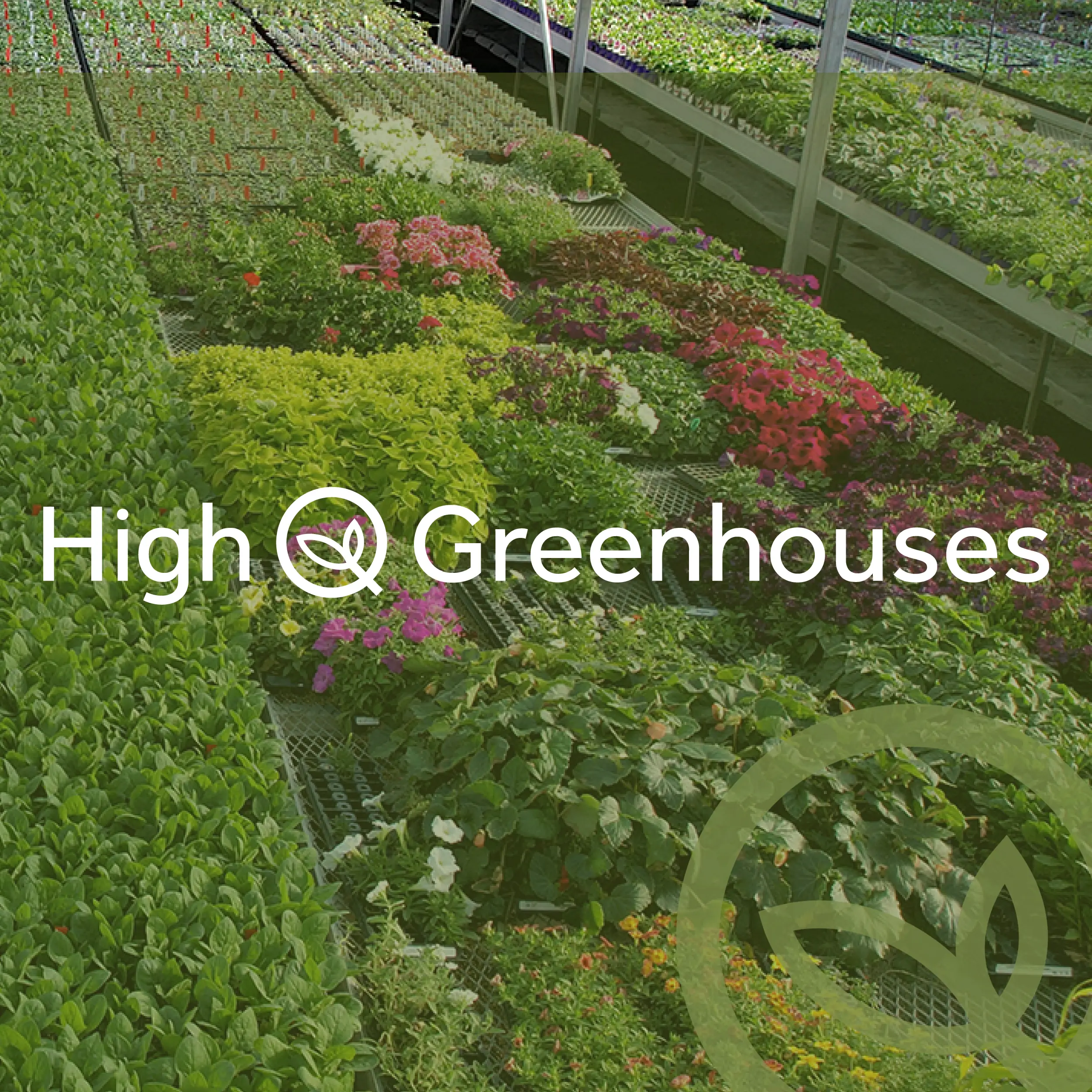 High Q Greenhouses